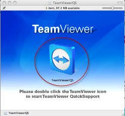 teamviewer-quicksupport