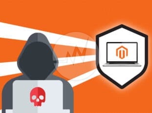 Magento Ecommerce Website