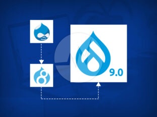 Drupal 9 Migration