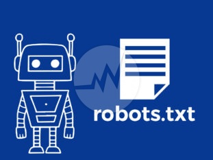 Robots txt and seo