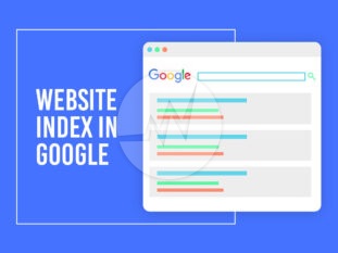 Website Index in Google