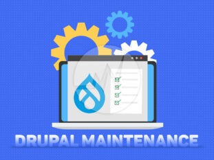 Drupal Maintenance