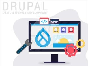 Drupal Custom Module Development