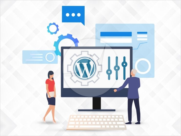 WordPress Customization Services