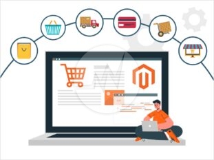 Magento Custom Development